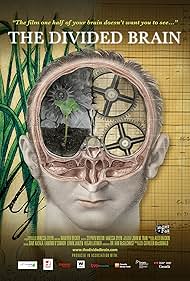 The Divided Brain 