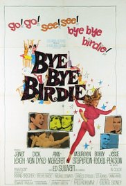 Bye Bye Birdie (19