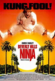 Beverly Hills Ninj
