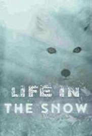 Life in the Snow (