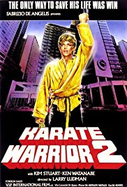 Karate Warrior 2 (