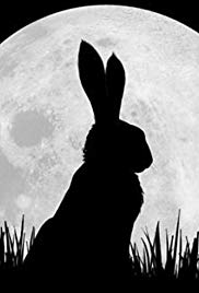 Watership Down (20