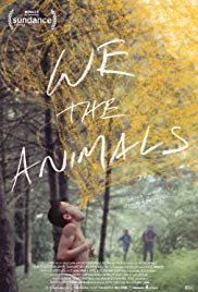 We the Animals (20
