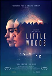 Little Woods (2018