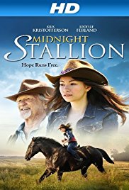Midnight Stallion 