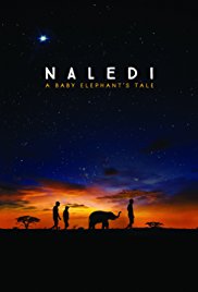 Naledi: A Baby Ele