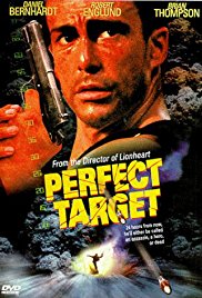 Perfect Target (19