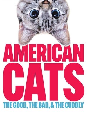 American Cats The Good, the Bad, and the Cuddly (2024)