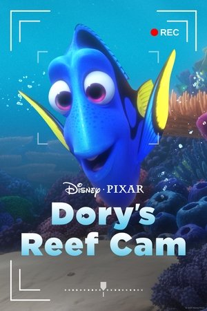 Dorys Reef Cam (2020)
