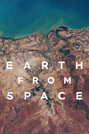 Earth from Space (2019 )