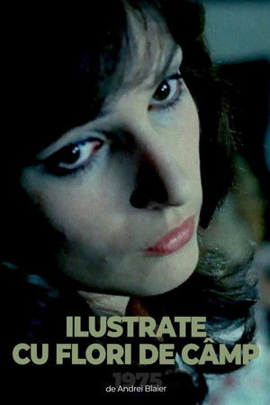 Ilustrate cu flori de camp (1975)