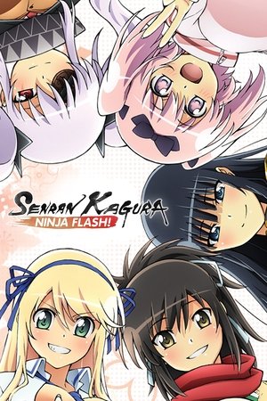 Senran Kagura Ninja Flash (2013)