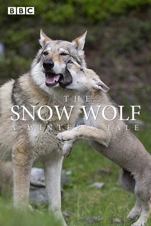 The Snow Wolf A Winters Tale (2018)