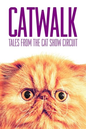 Catwalk Tales from the Cat Show Circuit (2018)