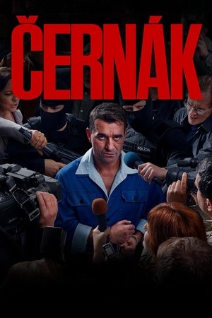 Cernak (2025)