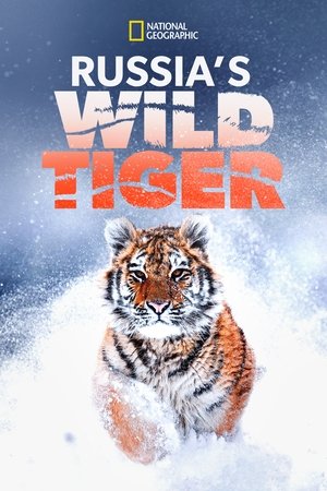 Russias Wild Tiger (2022)
