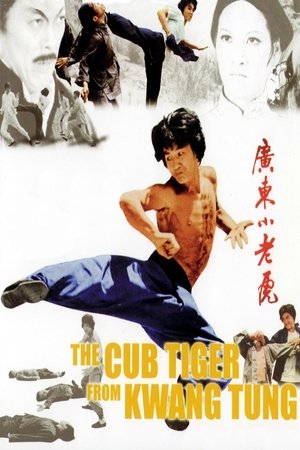 Snake Fist Fighter (1973)