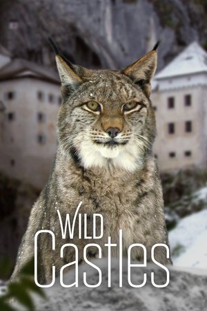 Wild Castles (2017 )