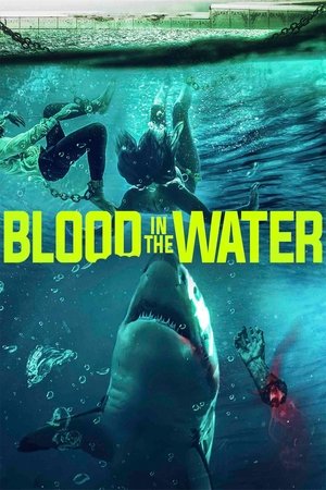 Blood in the Water I (2022)