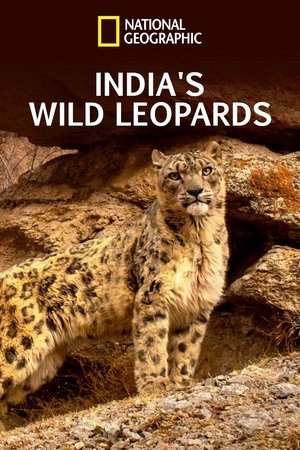 Indias Wild Leopards (2020)