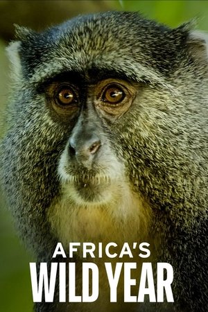 Africas wild year (2021)