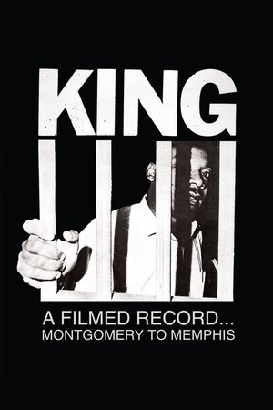 King A Filmed Record Montgomery to Memphis (1969)