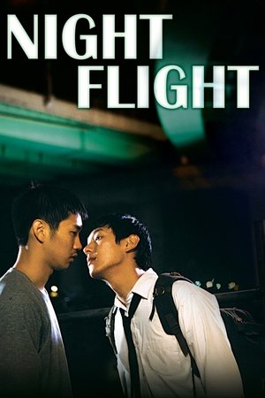 Night Flight (2014)
