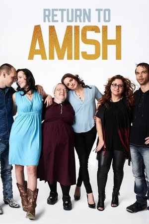 Return to Amish (2014 )
