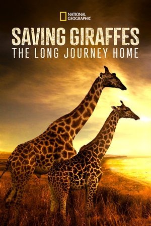 Saving Giraffes The Long Journey Home (2022) Poster