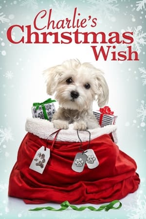 Charlies Christmas Wish (2018)