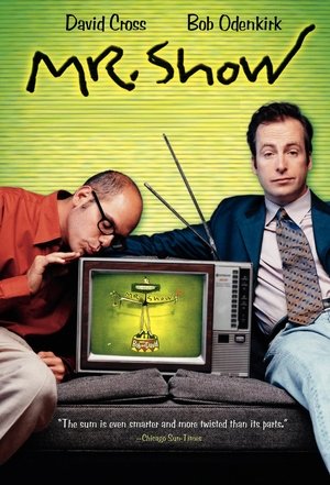 Mr. Show with Bob and David (19951998)
