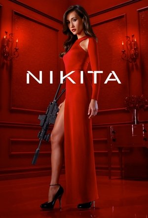 Nikita (20102013)