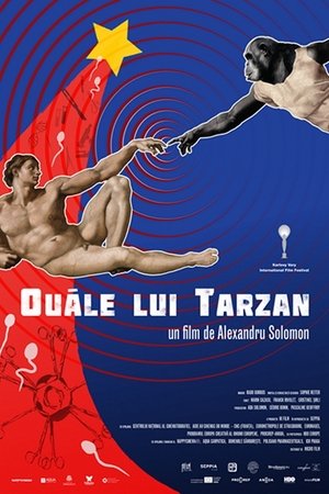 Tarzans Testicles (2017)