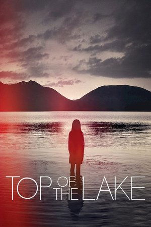 Top of the Lake (20132017)