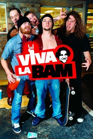 Viva la Bam (2003-2006)