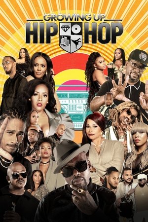 Growing Up Hip Hop (2016 )