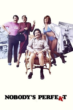 Nobodys Perfekt (1981)