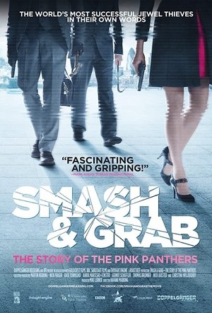 Smash Grab The Story of the Pink Panthers (2013)