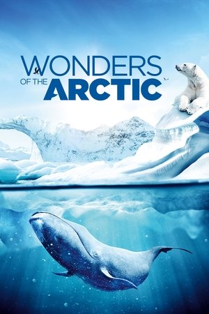 Wonders of the Arctic 3D (2014)