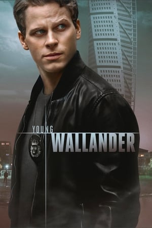 Young Wallander (2020 )