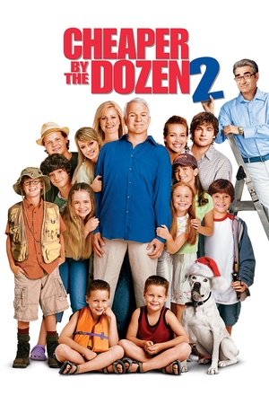 Cheaper by the Dozen 2 2005 