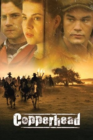 Copperhead (2013)