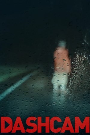 Dashcam (2021)