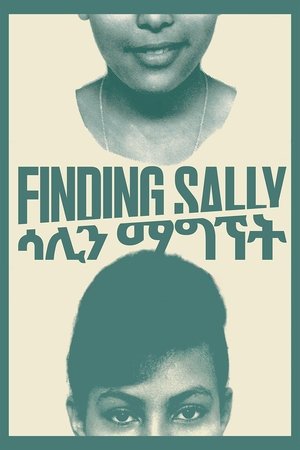 Finding Sally (2020)