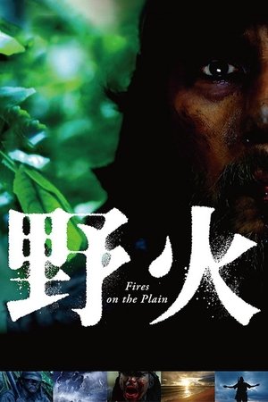 Fires on the Plain (2014)