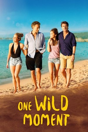 One Wild Moment (2015)