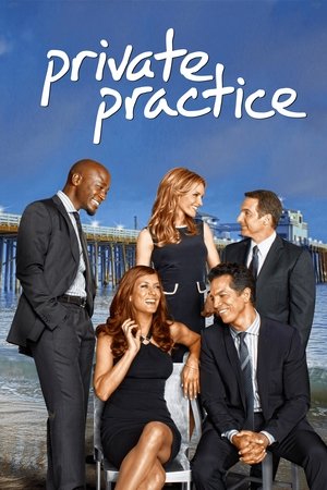 Private Practice (20072013)