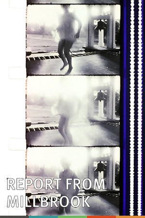 Report from Millbrook (1966)