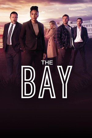 The Bay (2019 )