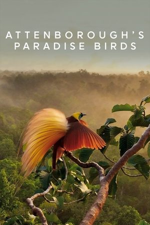Attenboroughs Paradise Birds (2015)